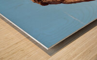 Delicate Arch in Arches National Park Wood print