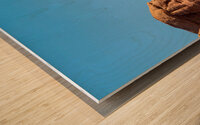 Delicate Arch in Arches National Park large panoramic  Wood print