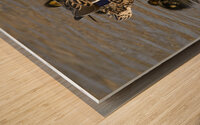 Mallard hen with ducklings Wood print