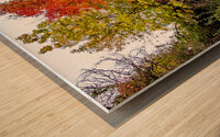 fall colors in Boise Wood print